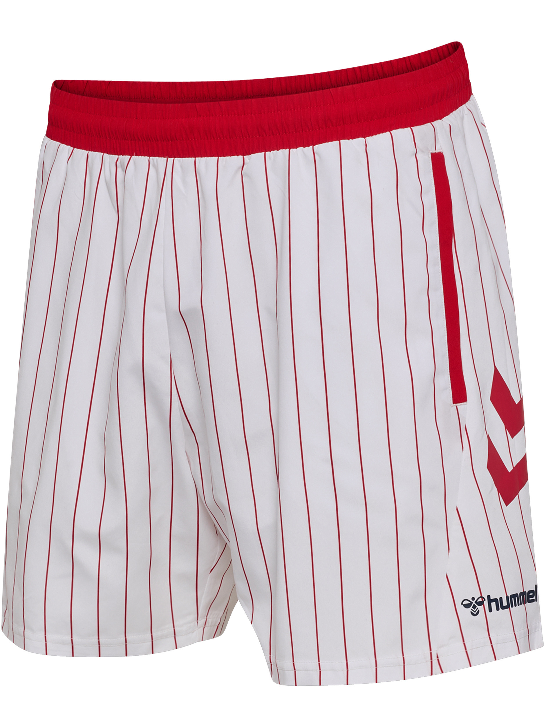 DBU 26 FAN SWIM SHORTS